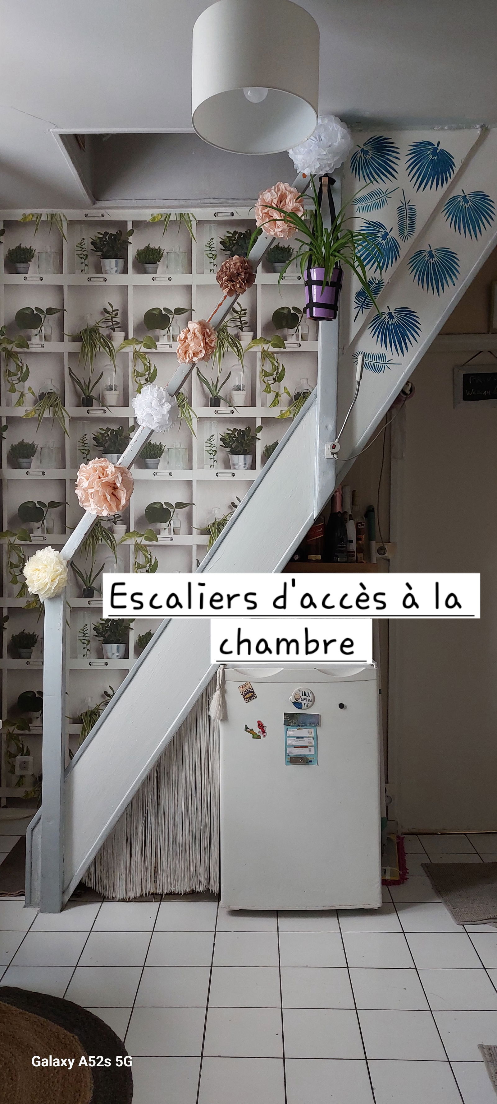 Quedarse En Casa Paris 589231