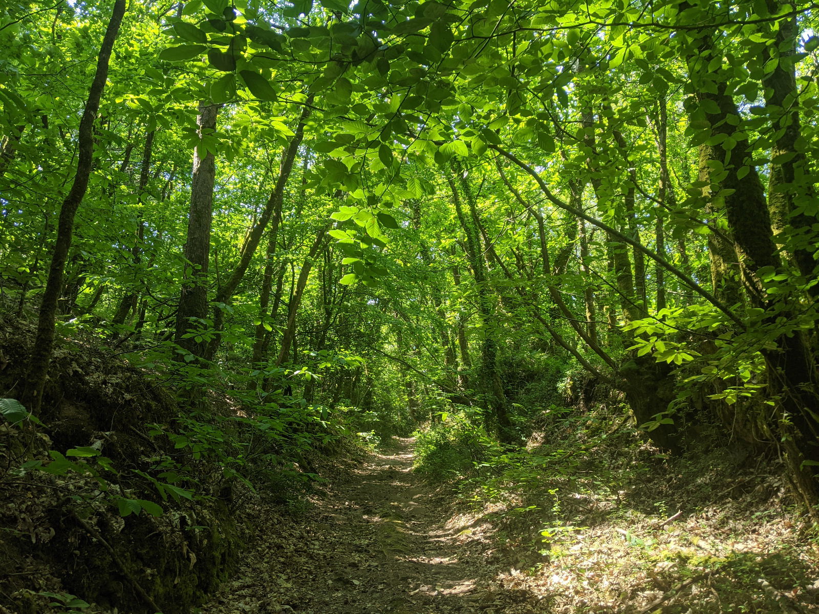 Quedarse En Casa Saint-Nolff 279634