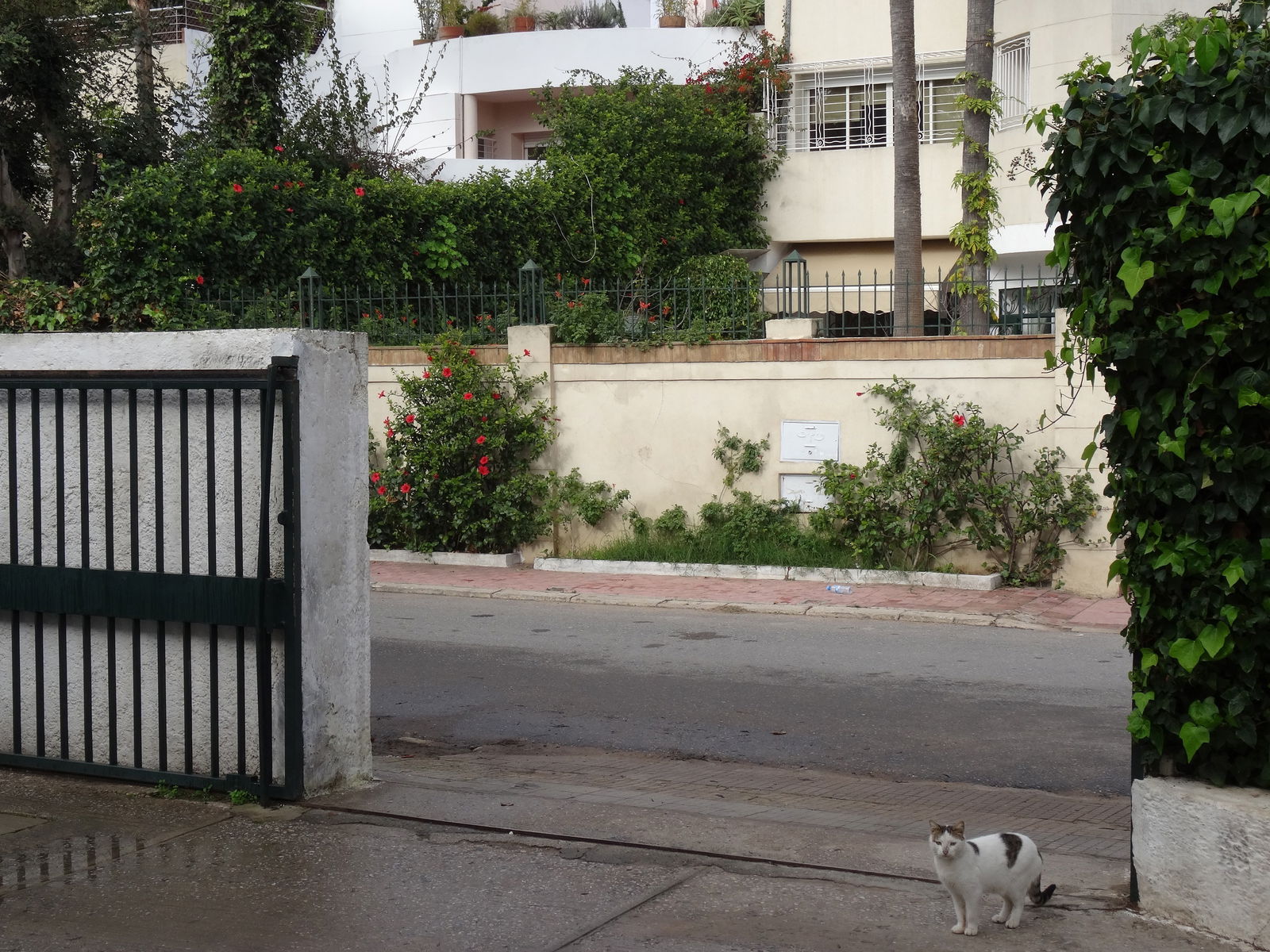 Habitaciones De Huéspedes Rabat 91435