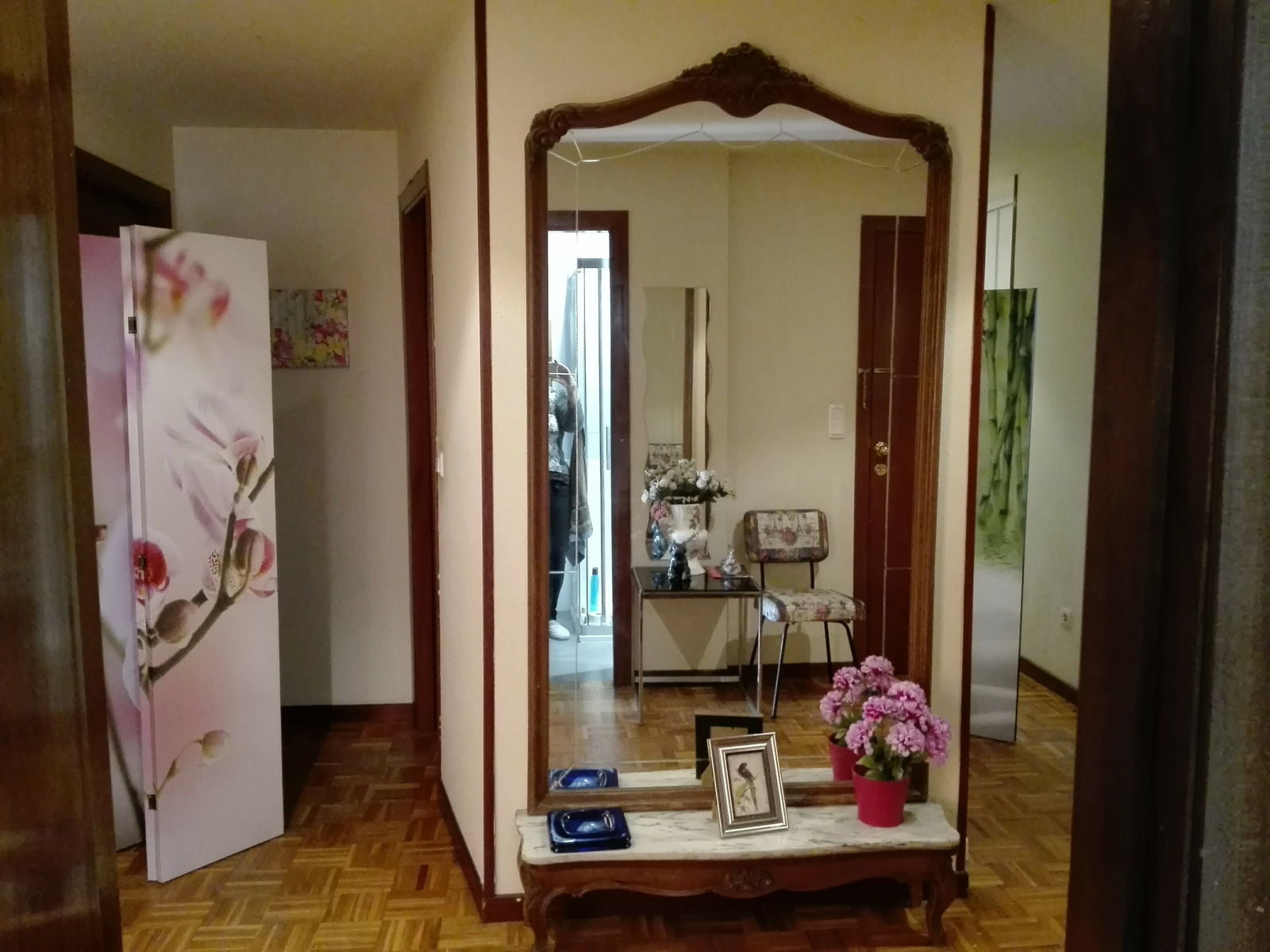 Colocation Donostia 206016