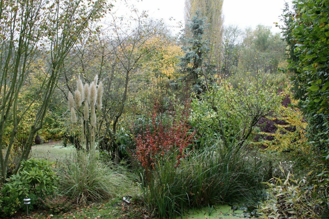 Habitaciones De Huéspedes Monthodon 89259