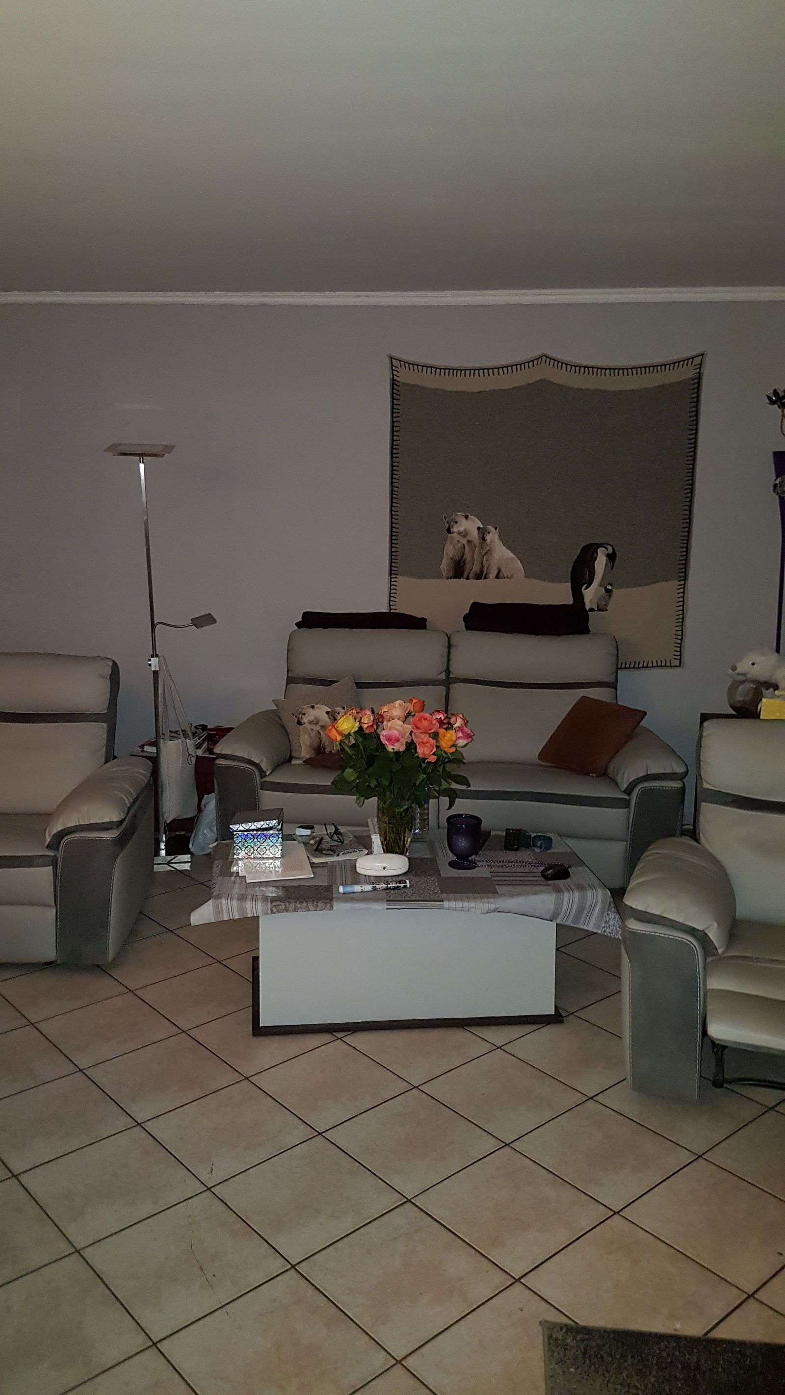 Colocación Champigny-sur-Marne 221489