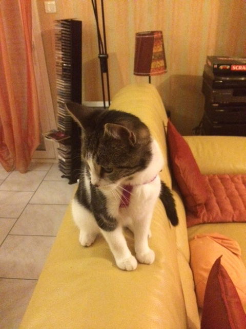 Quedarse En Casa Évreux 52065