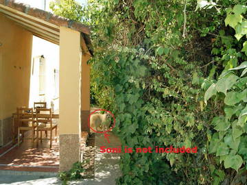 Colocation Madrid 166528-6