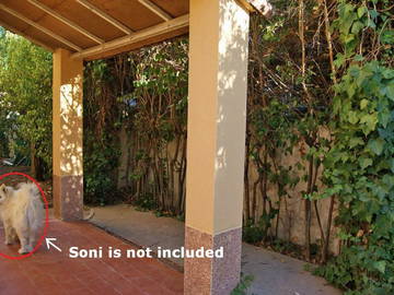 Colocation Madrid 166528-7