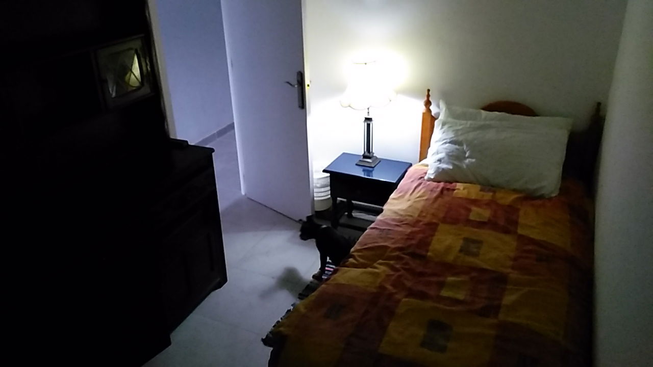 Quedarse En Casa Alicante 266528