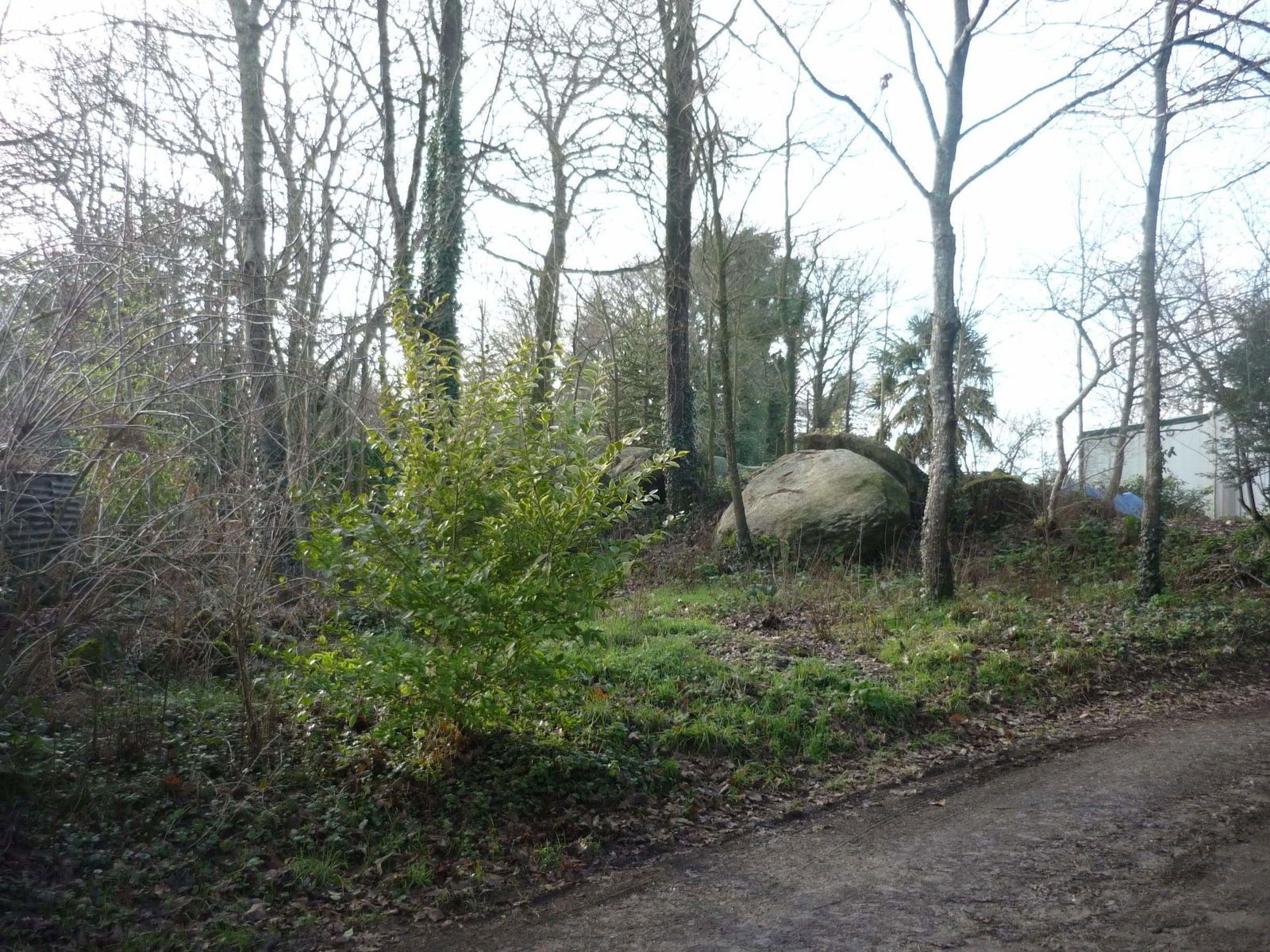 Colocación Saint-Jean-Brévelay 383342