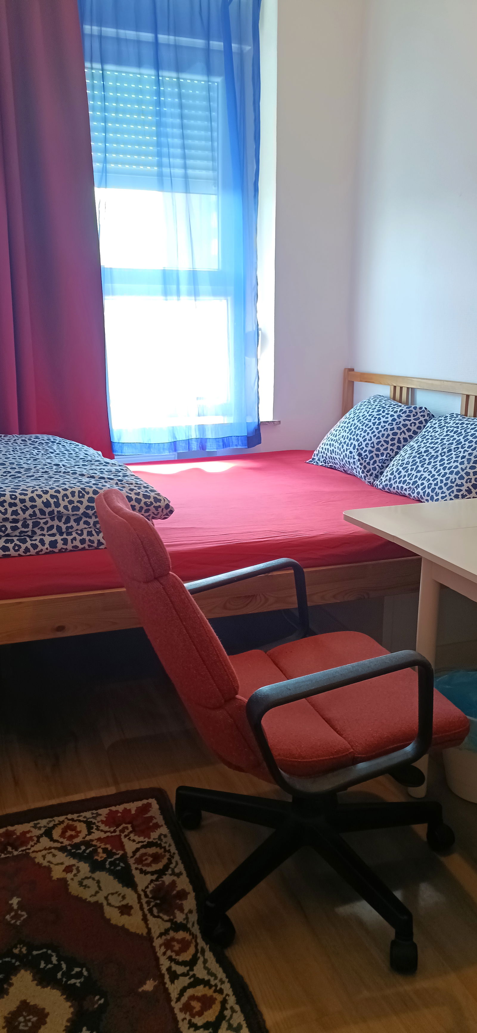 Colocación Liège 275463