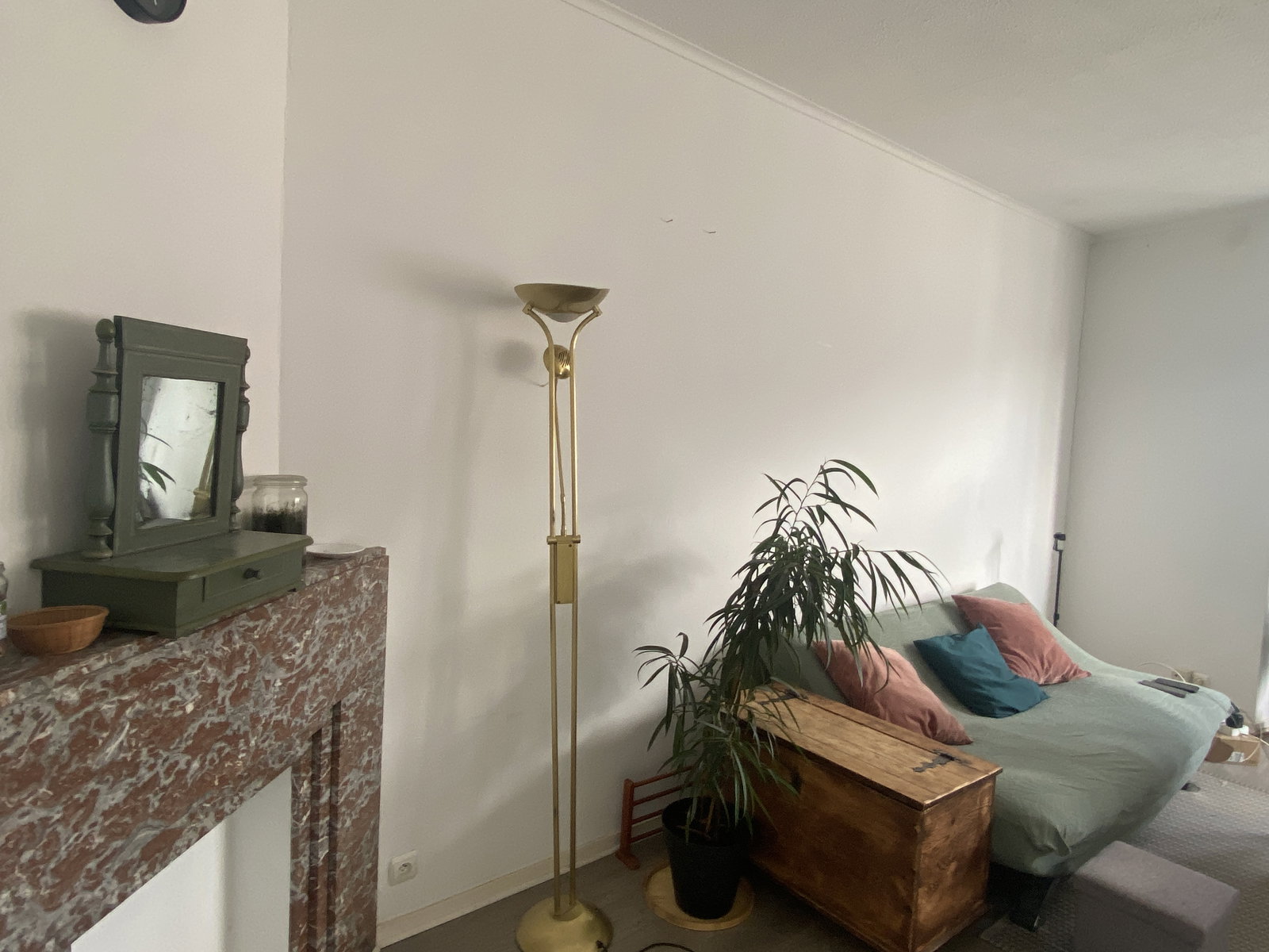 Colocación Forest 649097