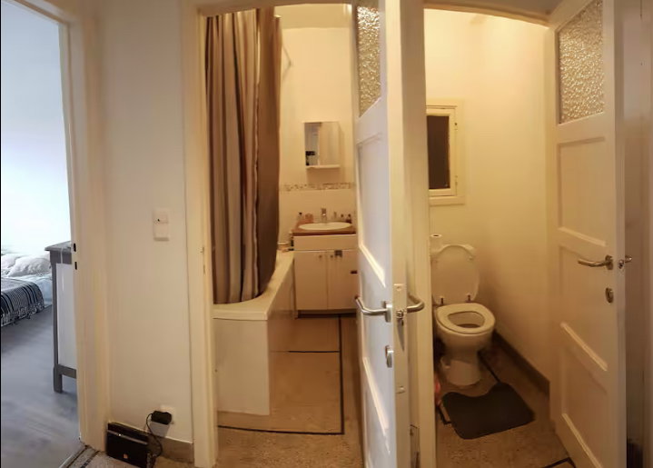 Colocación Forest 649097