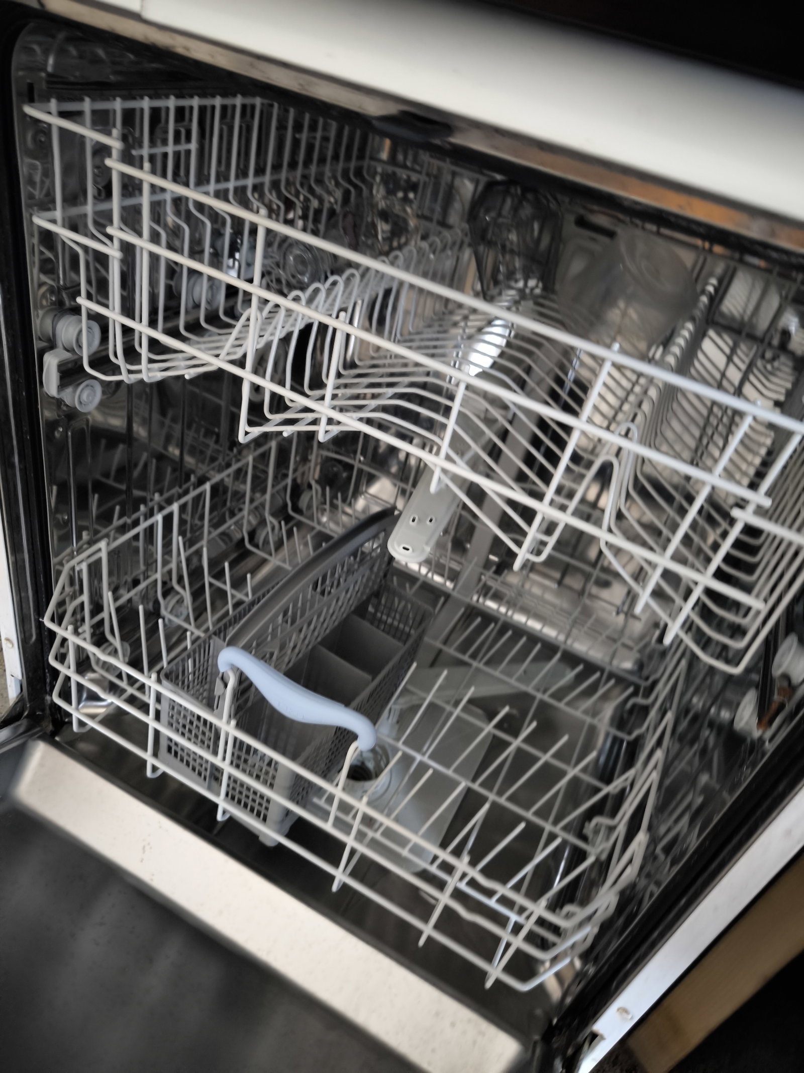 Colocación Forest 649097