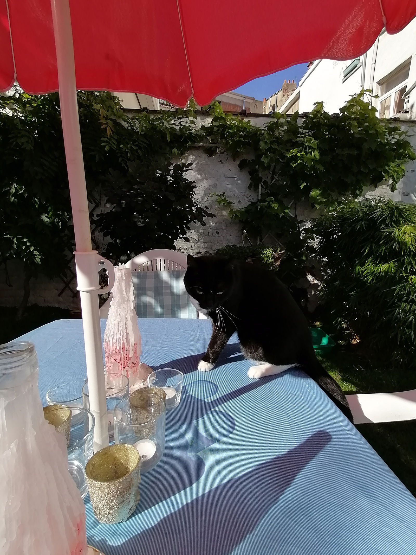 Quedarse En Casa Watermael-Boitsfort 140894