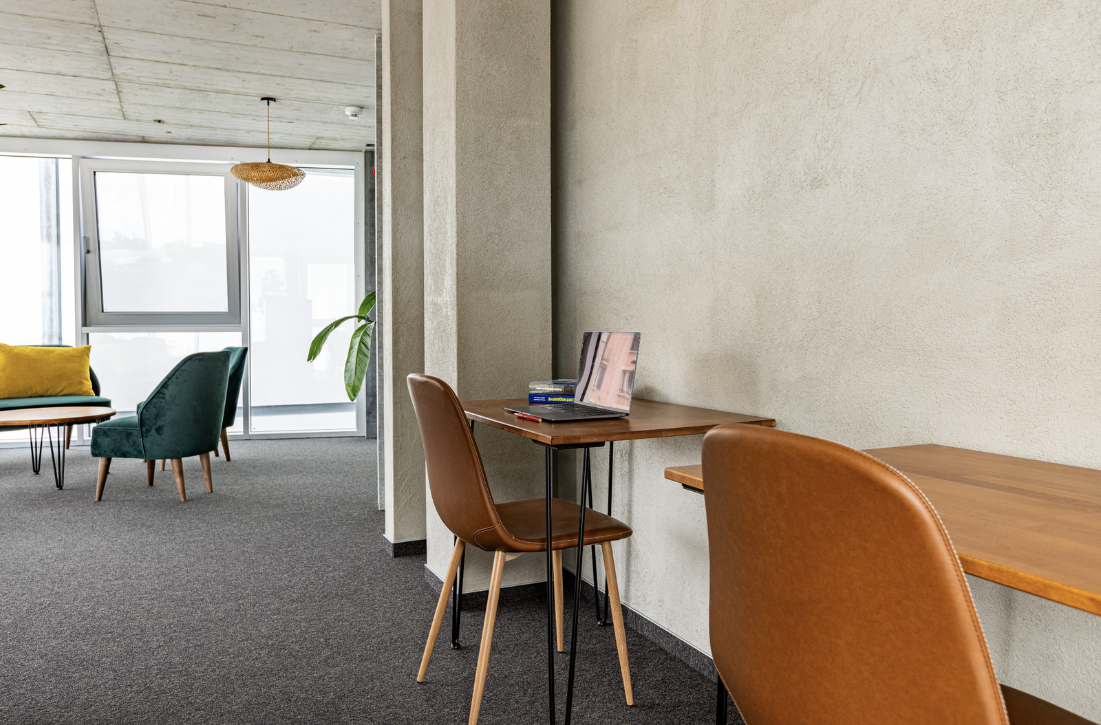 Coliving Crissier 405075