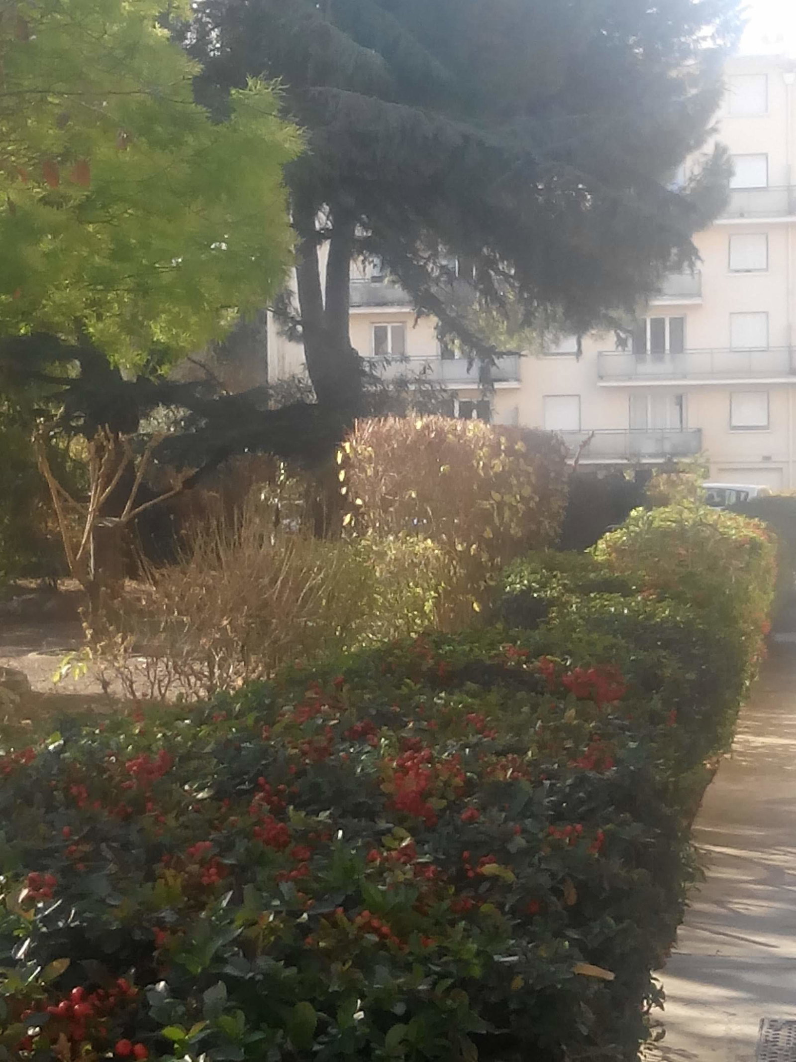 Quedarse En Casa Montpellier 263751