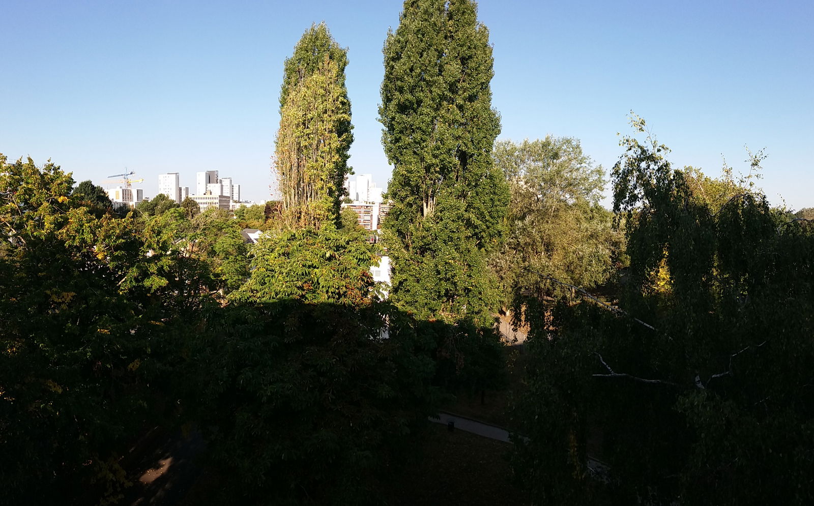 Colocación Les Ulis 177122