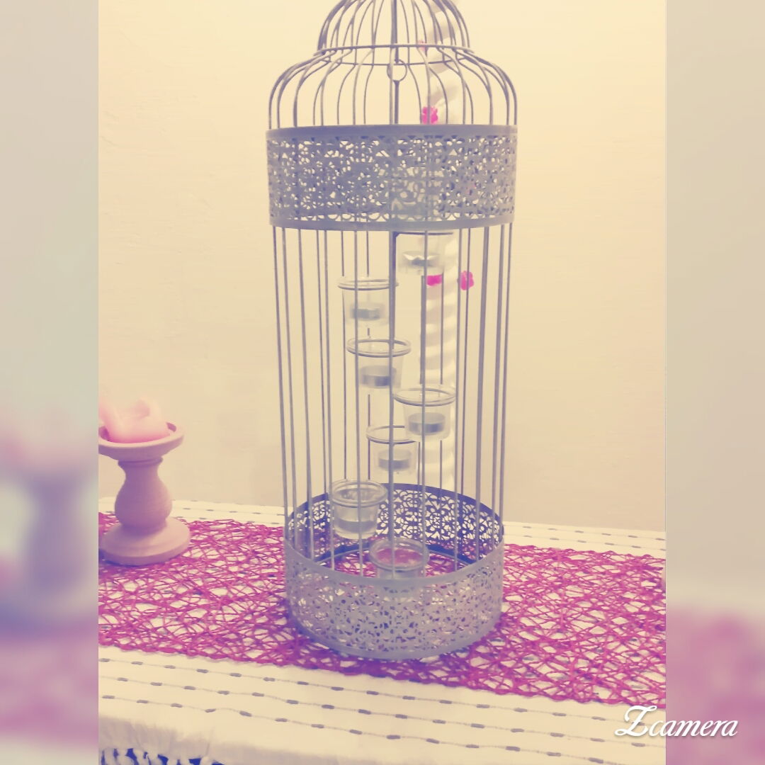 Quedarse En Casa Dijon 157333