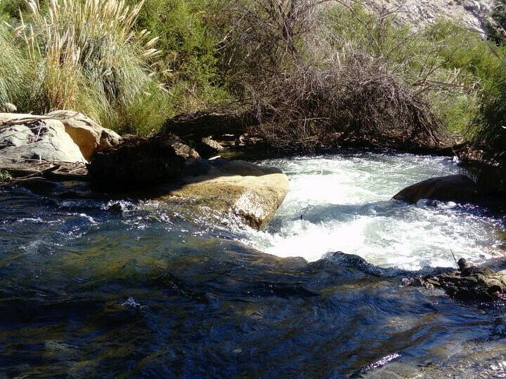 Quedarse En Casa Coquimbo 199546-2