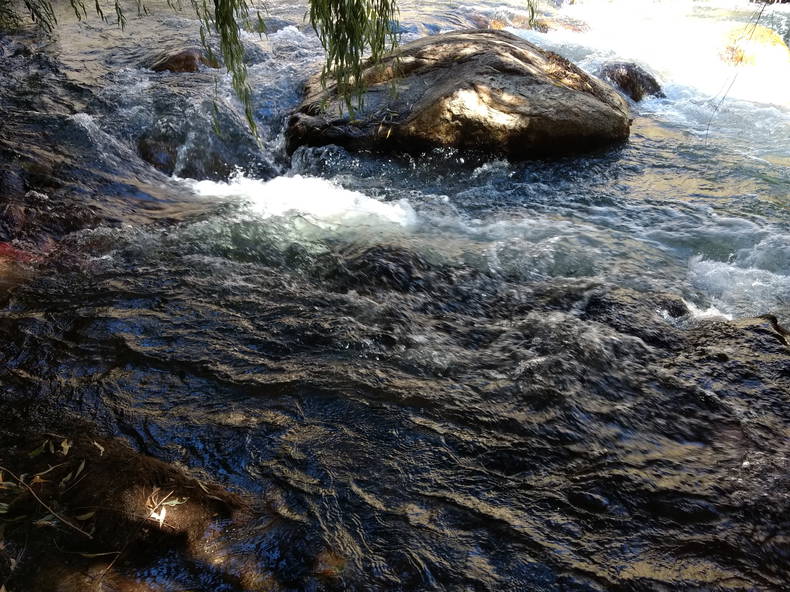 Quedarse En Casa Coquimbo 199546-3