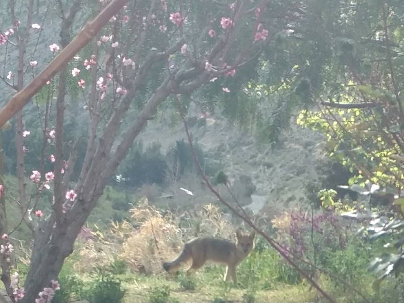 Quedarse En Casa Coquimbo 199546-4