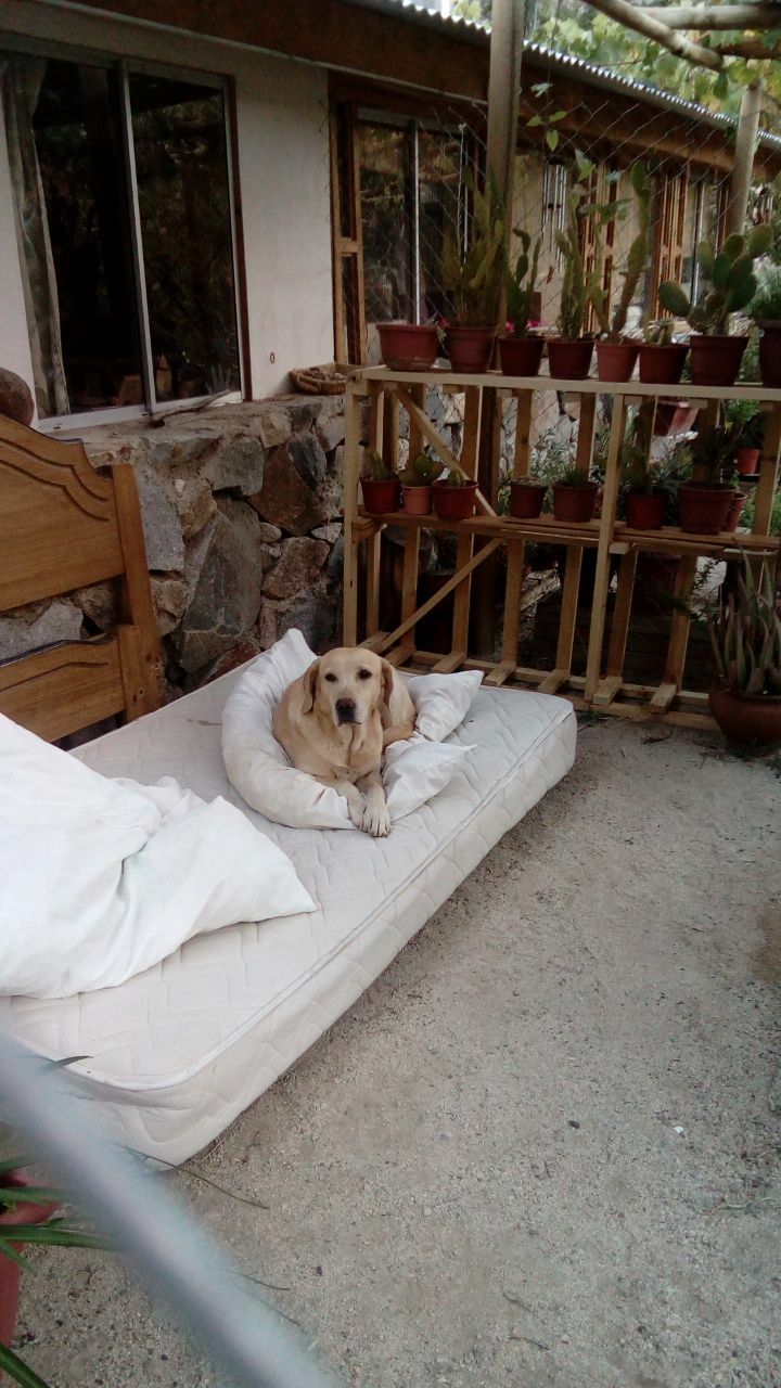 Quedarse En Casa Coquimbo 199546