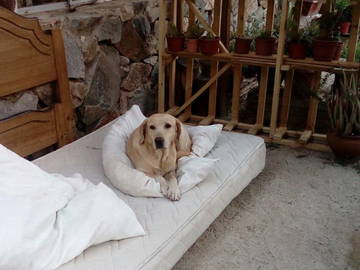 Chambre Chez L'habitant Coquimbo 199546-6