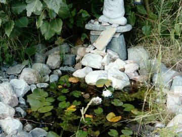 Chambre Chez L'habitant Coquimbo 199546-8