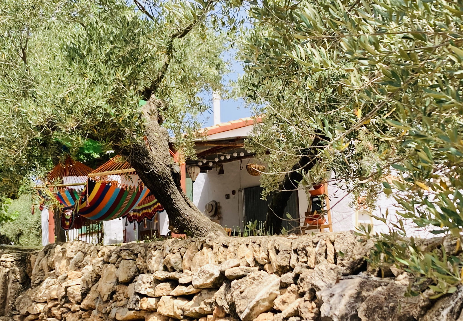 Quedarse En Casa Tortosa 662819