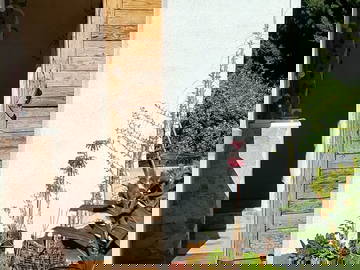 Chambre Chez L'habitant Tortosa 662819-14