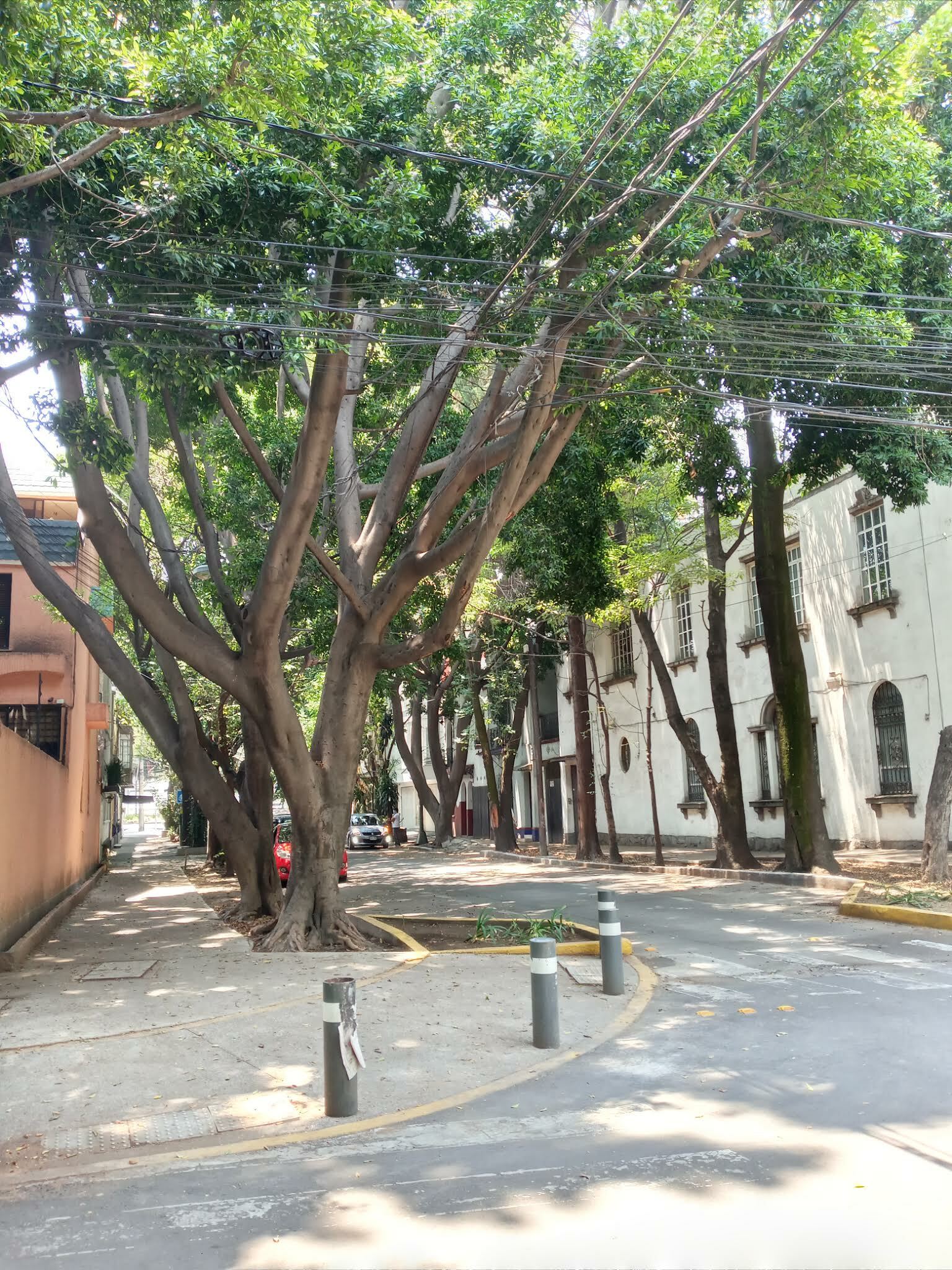 Estudio Independiente México D.F. 249343