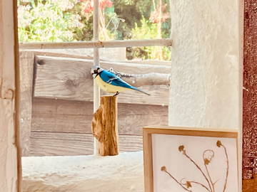 Chambre Chez L'habitant Tortosa 662819-10