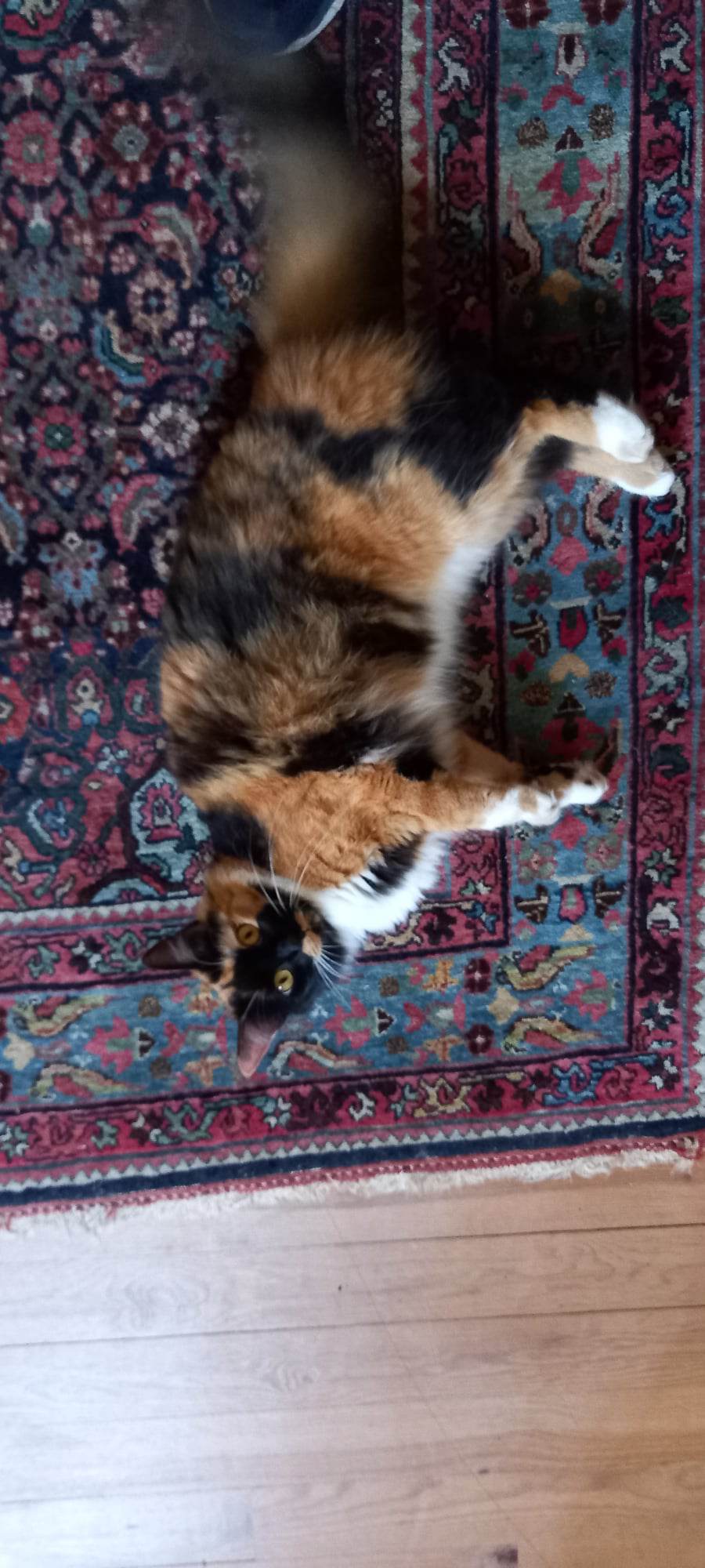 Quedarse En Casa Saint-Jean-Poutge 267972