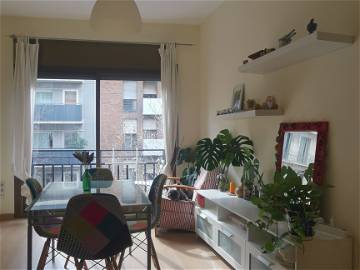 Room For Rent Barcelona 264896