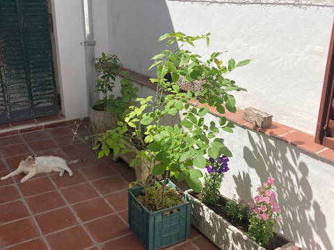 Homestay CABA 492227-3