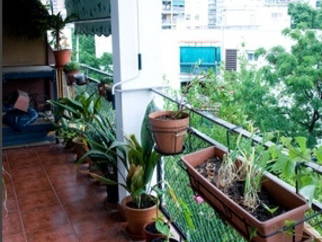 Famiglia Barcelona 34902-7