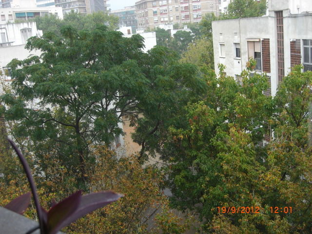 Quedarse En Casa Barcelona 34902