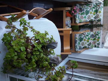 Chambre Chez L'habitant Barcelona 187128-5