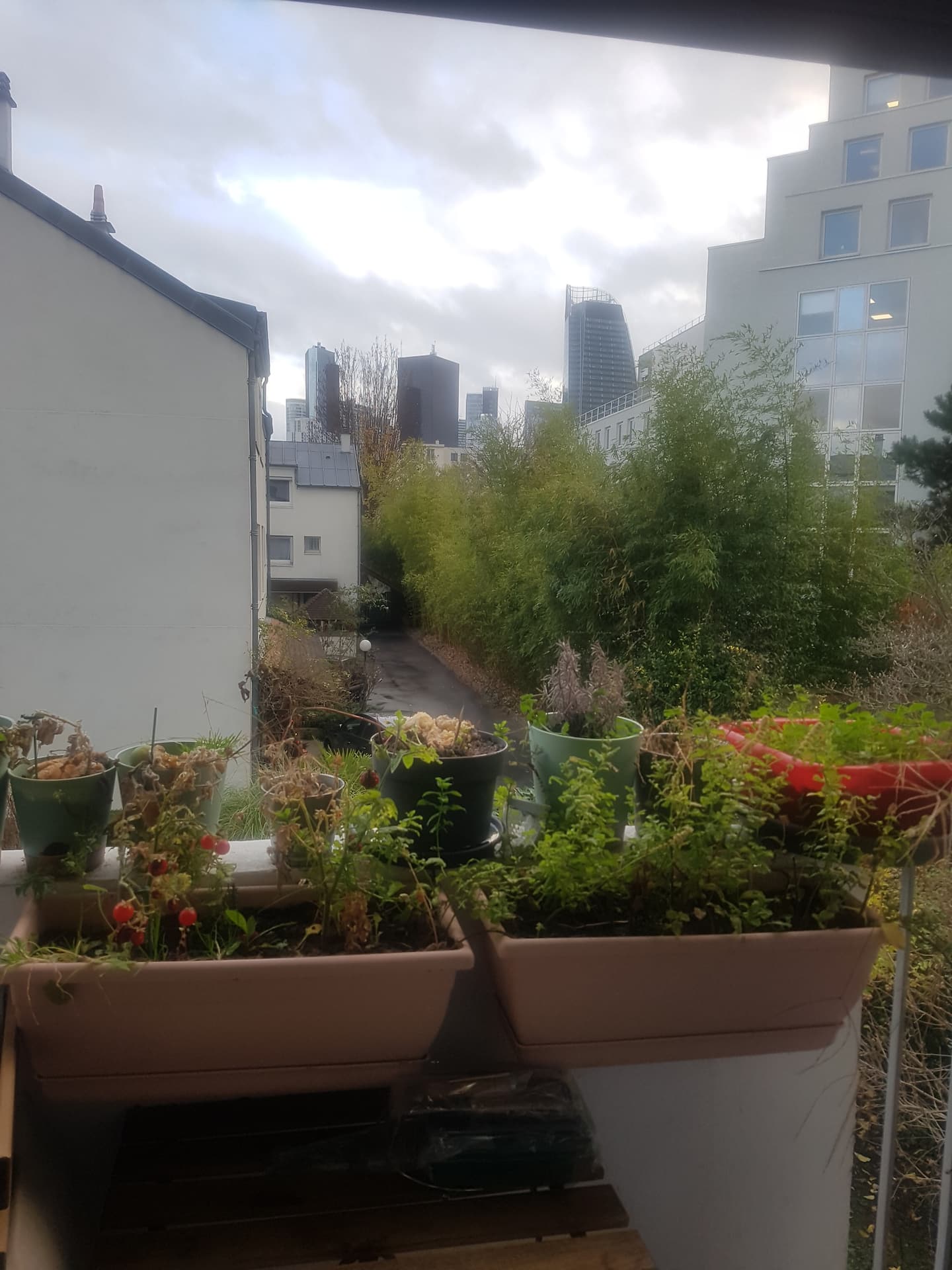 Quedarse En Casa Courbevoie 325271