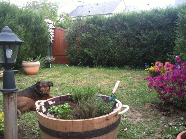 Colocación Nantes 12984