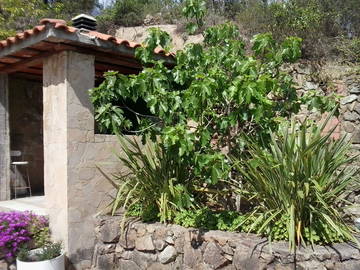 Chambre Chez L'habitant Terrafortuna 158226-11