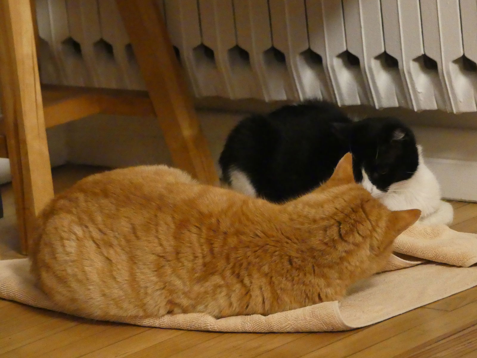 Quedarse En Casa Toulouse 111378