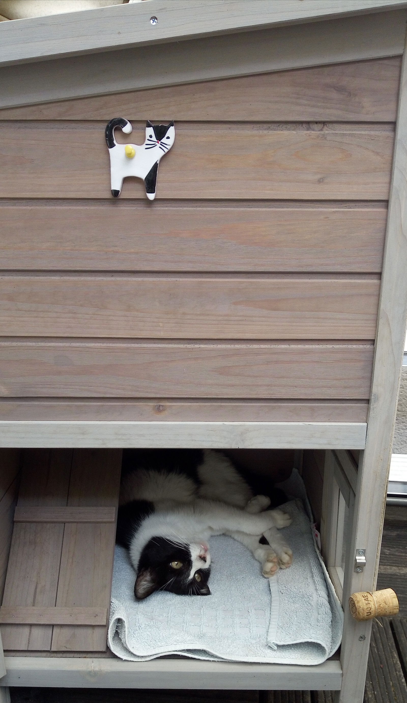 Quedarse En Casa Toulouse 111378