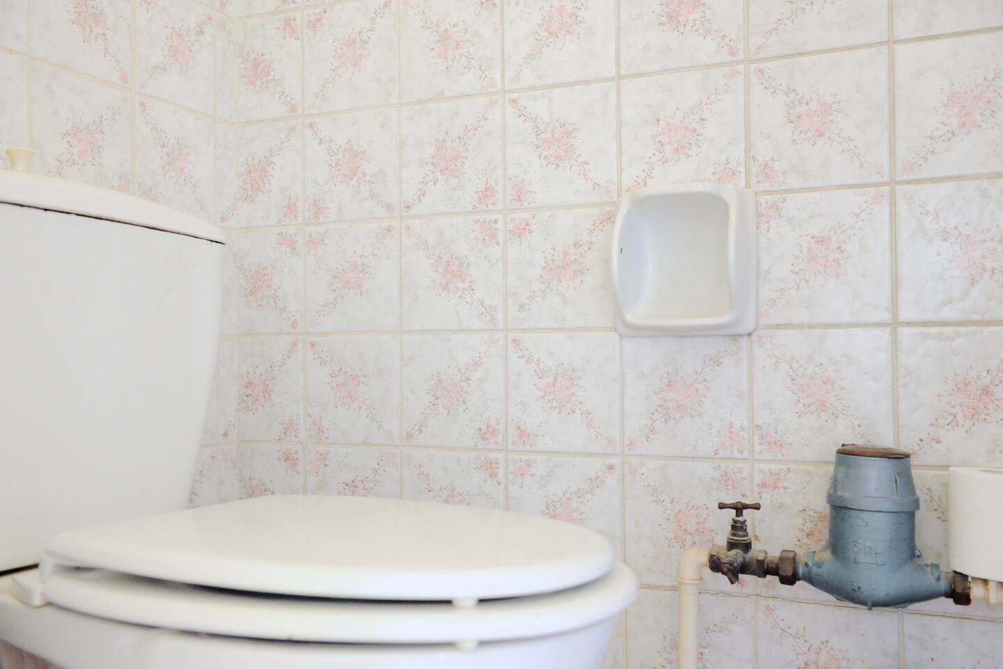 Quedarse En Casa Forest 267022