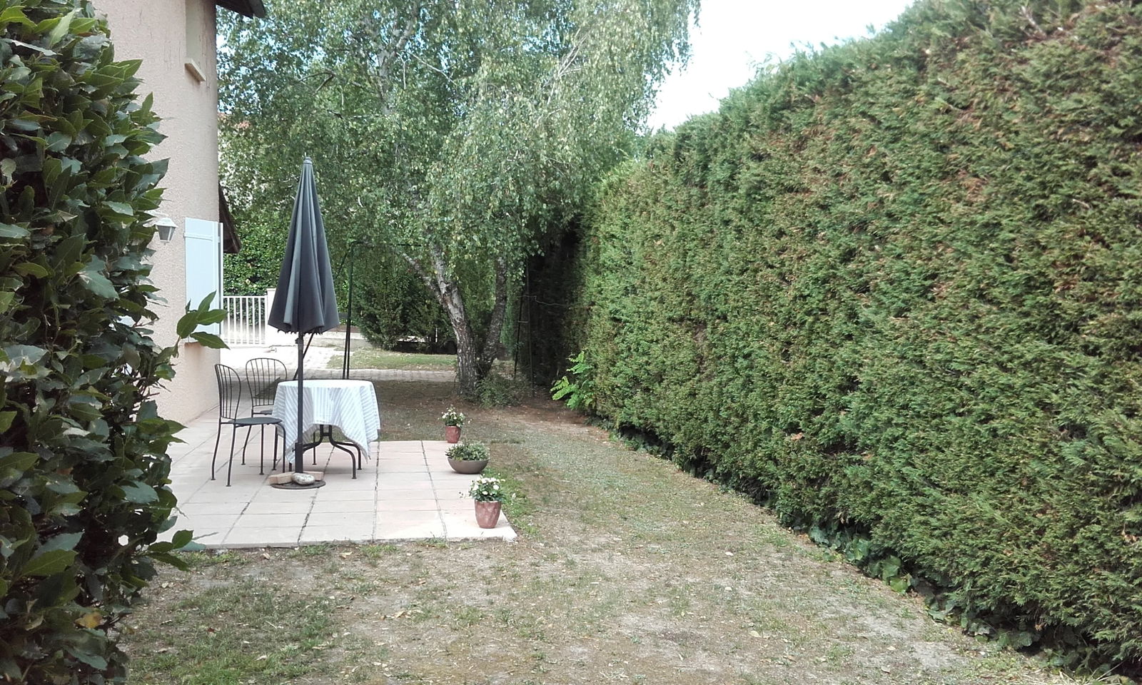 Quedarse En Casa Brindas 130256