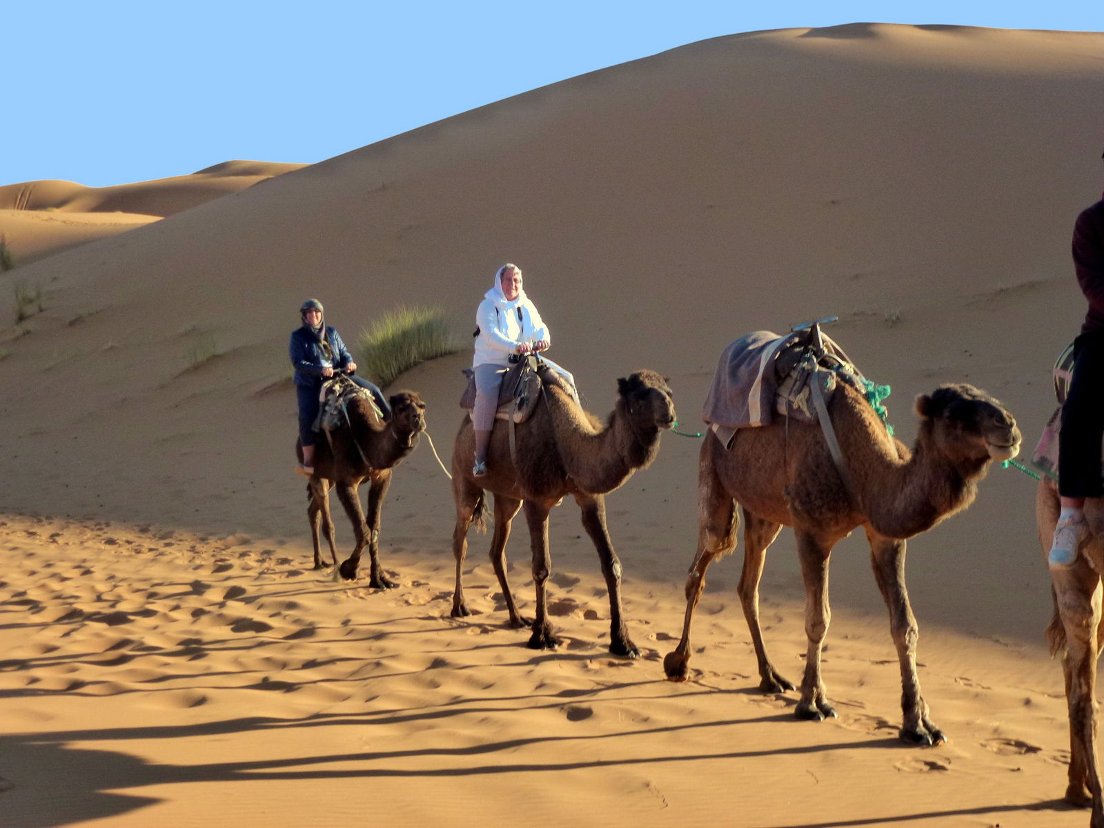 Quedarse En Casa Merzouga 268061