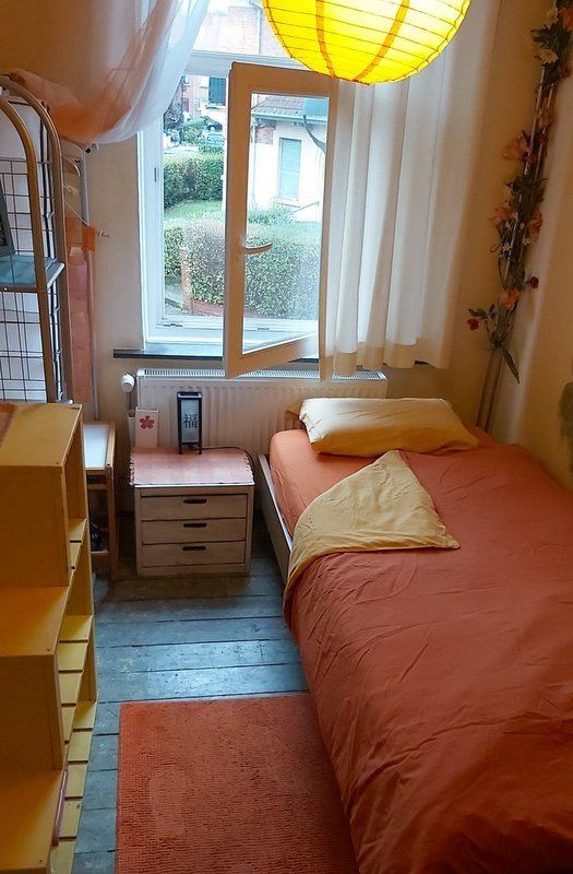 Colocación Schaerbeek 387634