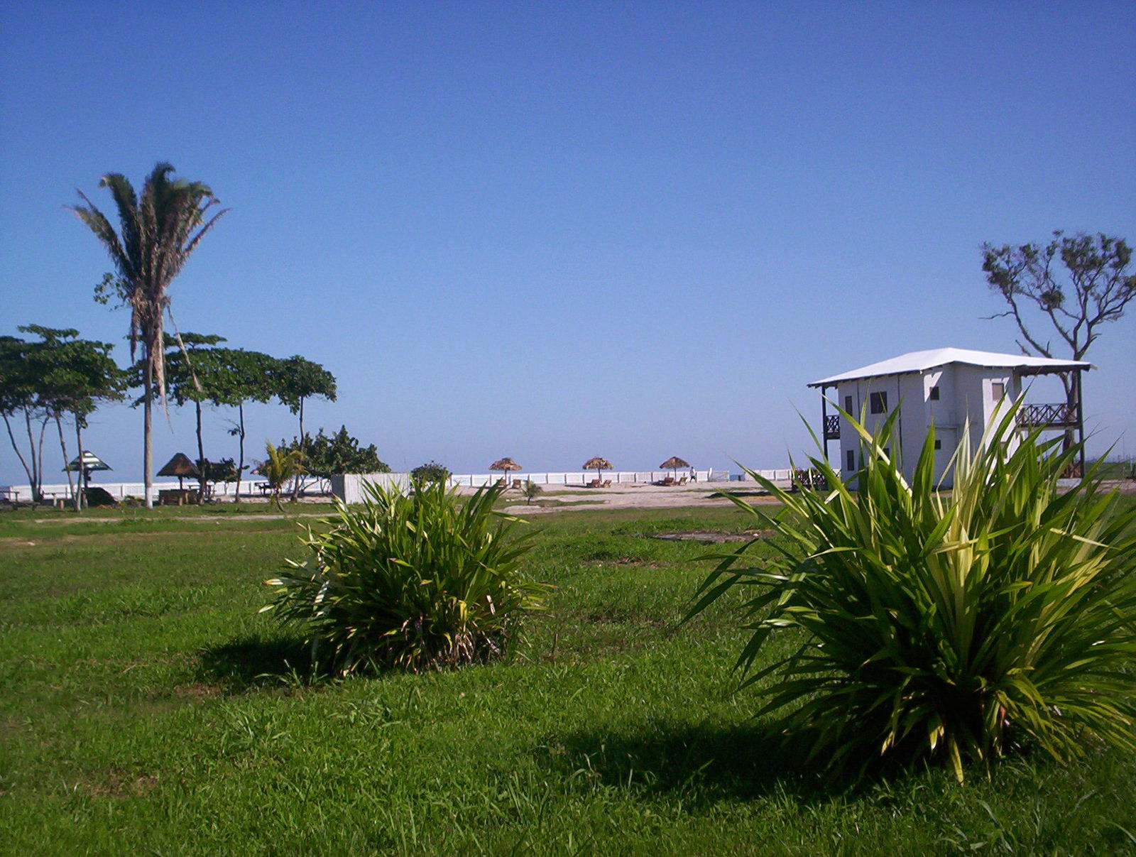 Estudio Independiente La Ceiba 76097