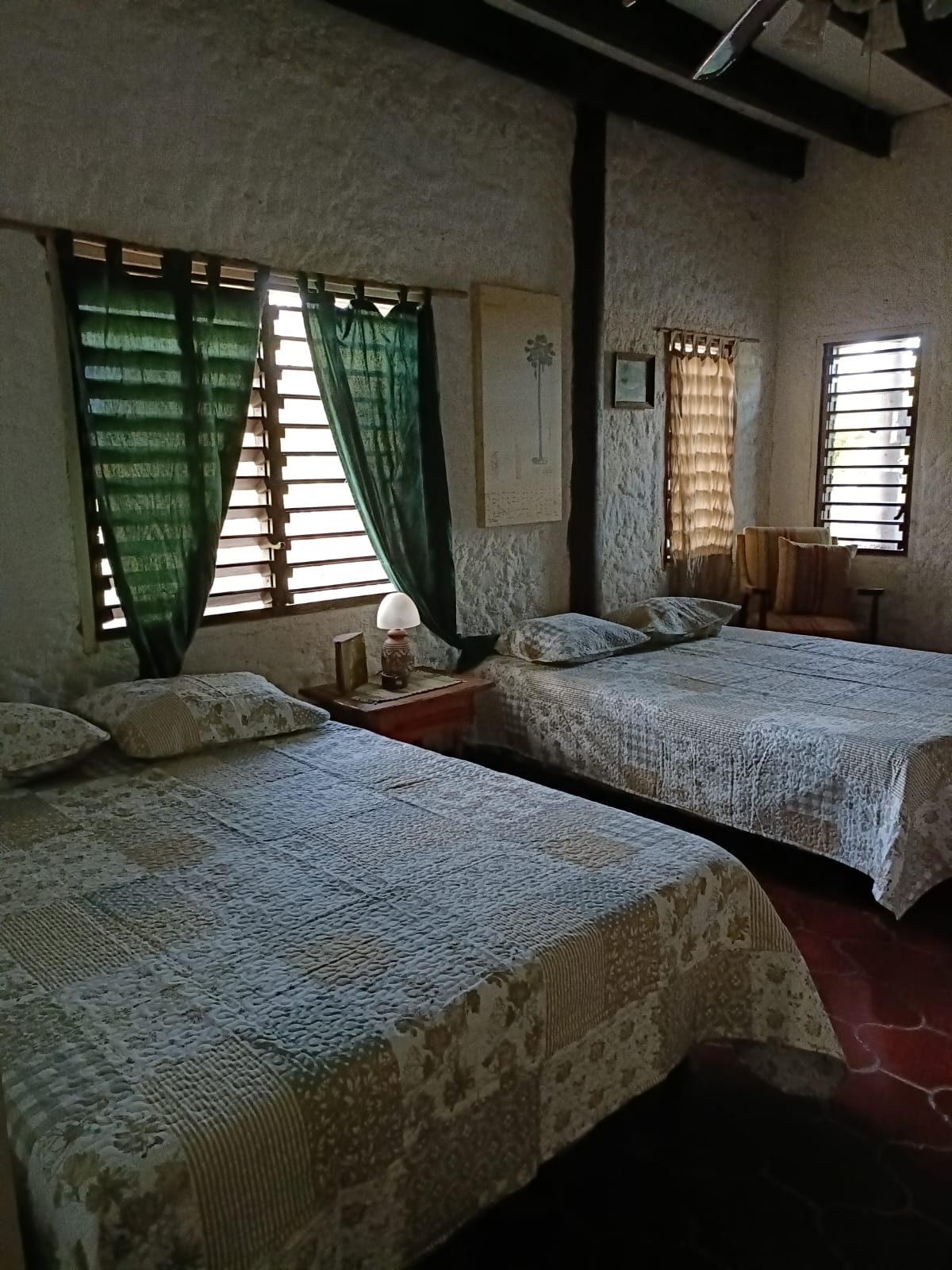 Estudio Independiente La Ceiba 76097