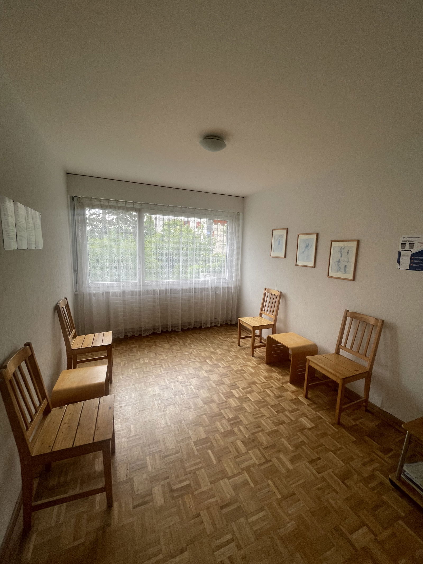 Colocación Lausanne 536662