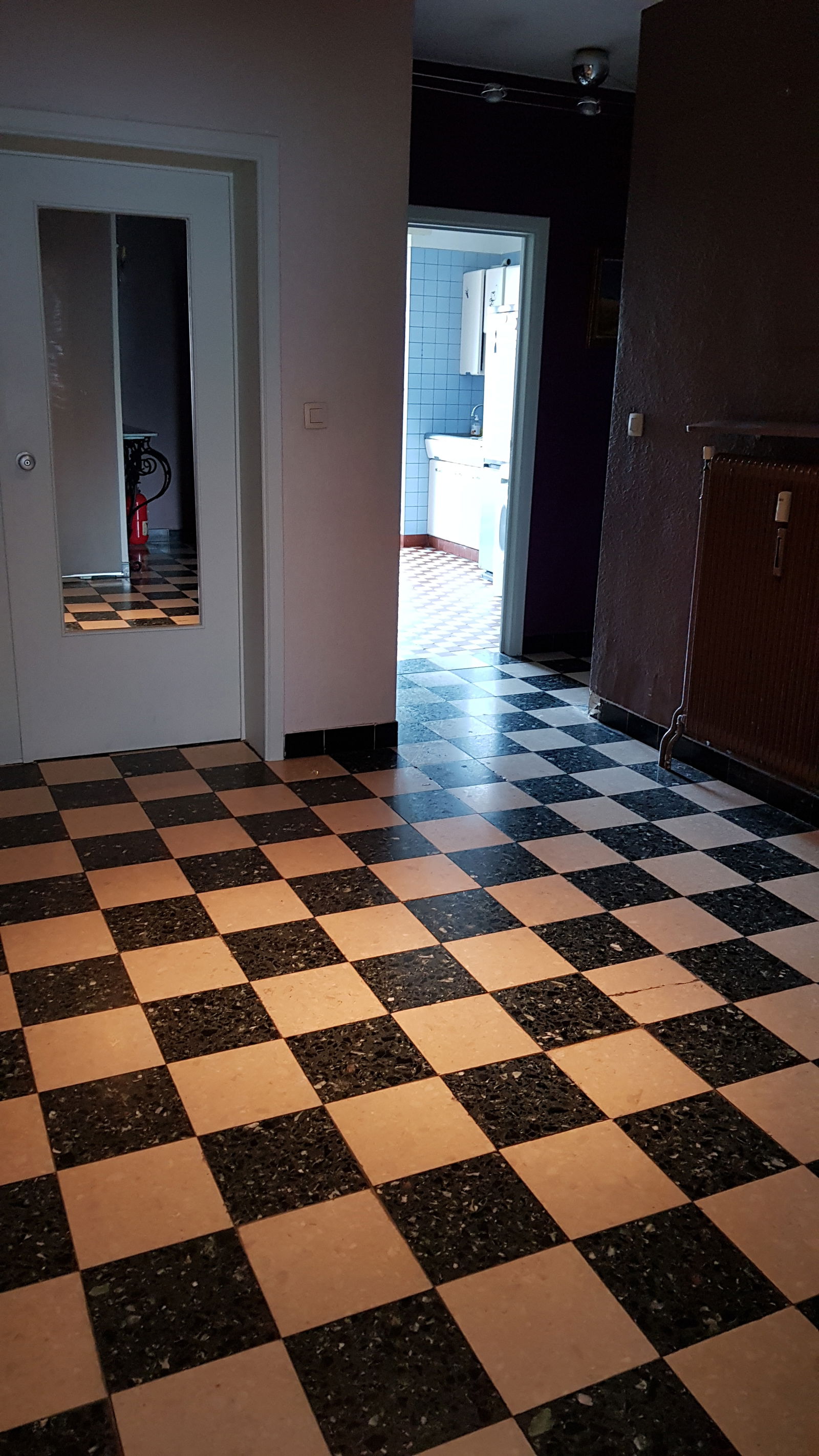 Colocación Ixelles 239471