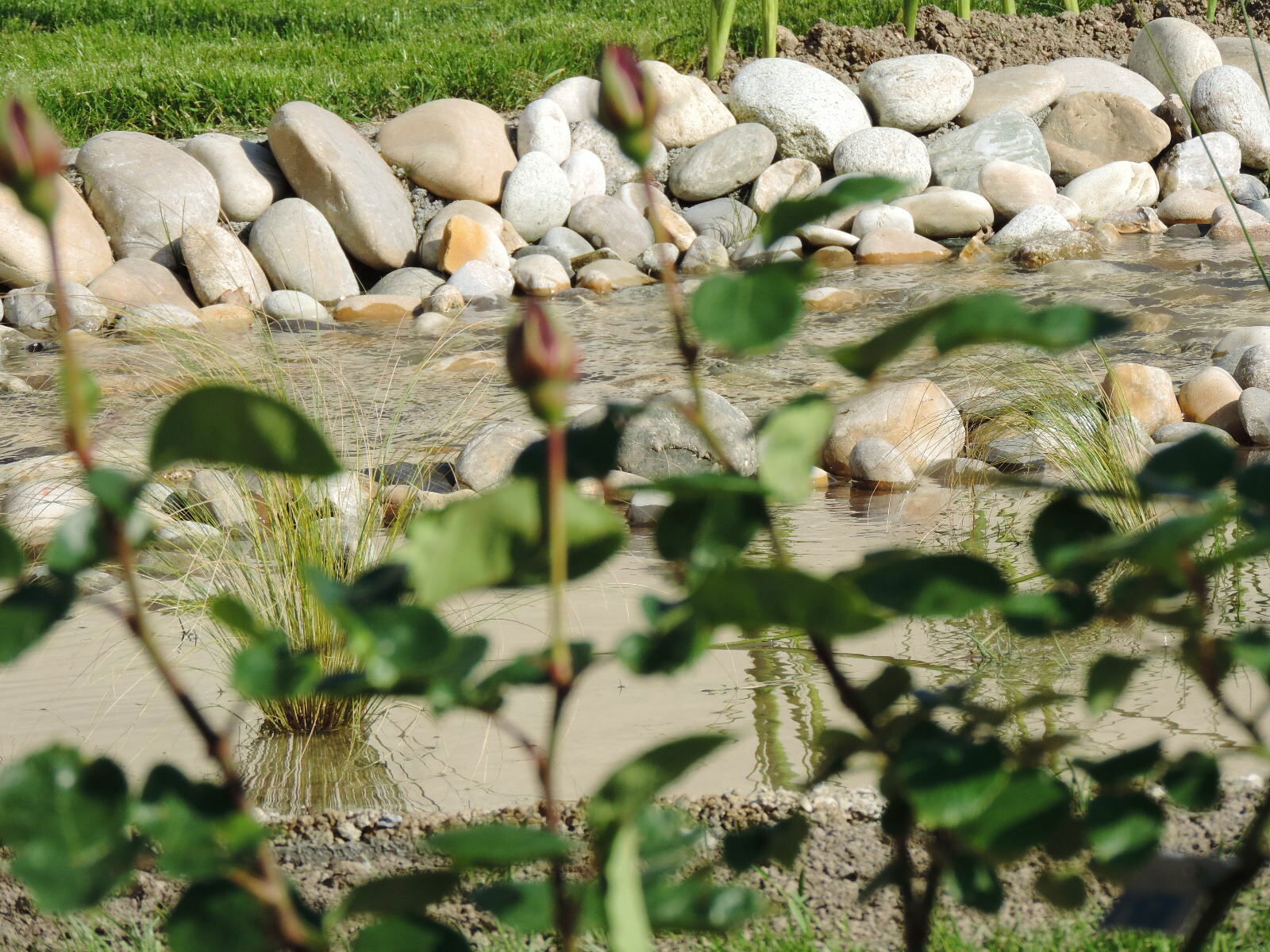 Quedarse En Casa Betton 244878